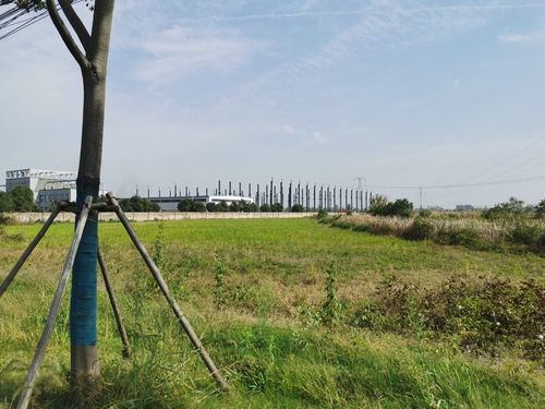 张重为院长为湖北孝感一家200多亩地工厂进行风水设计规划
